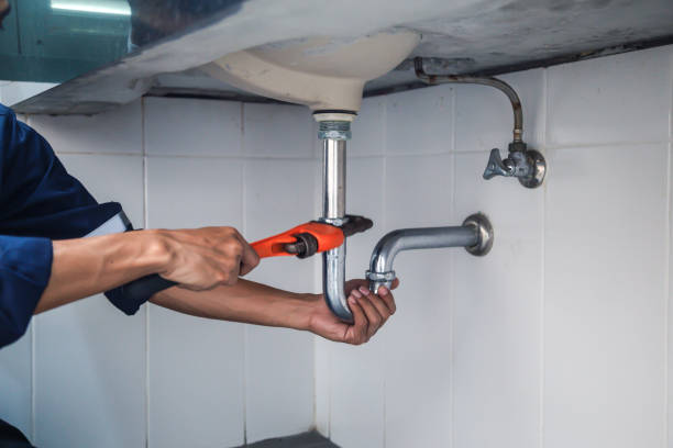 Best Residential Plumbing Services  in Grandview, MO