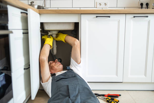 Best Local Plumber Services  in Grandview, MO